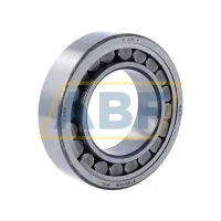 Роликовый подшипник C2211V SKF