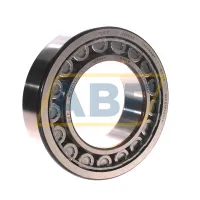Цилиндрический роликовый подшипник NU NU2220ECJ/C3 SKF