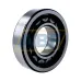 Цилиндрический роликовый подшипник однорядный NJ311ECP/C4VQ015 SKF