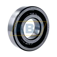 Цилиндрический роликовый подшипник однорядный NJ311ECP/C4VQ015 SKF