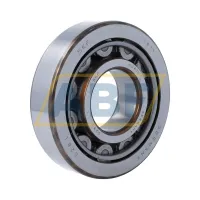 Цилиндрический роликовый подшипник NU NU411 SKF