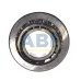 Конический роликовый подшипник однорядный 31311J2/QCL7C SKF