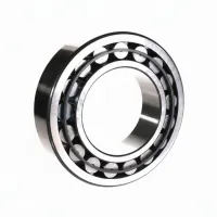 Роликовый подшипник C2220K SKF