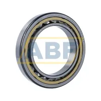 Цилиндрический роликовый подшипник NU NU1022MLS/P54S1VQ015 SKF