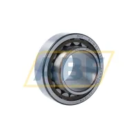 Цилиндрический роликовый подшипник однорядный BC1B320330A SKF