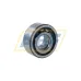 Цилиндрический роликовый подшипник однорядный BC1B320811 SKF