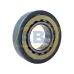 Цилиндрический роликовый подшипник NU NU317ECM/C3VL0241 SKF
