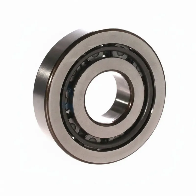 Цилиндрический роликовый подшипник NJ NJ409 SKF 360