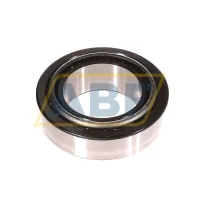 Конический роликовый подшипник однорядный 33113 Timken