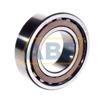 Роликовый подшипник C2209TN9 SKF