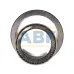 Конический роликовый подшипник однорядный NP604623/NP335170 Timken