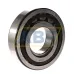 Цилиндрический роликовый подшипник NUP NUP314ECP SKF