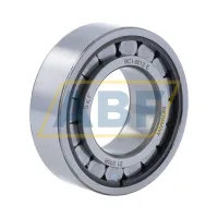 Цилиндрический роликовый подшипник однорядный BC1-0013E SKF