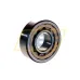 Цилиндрический роликовый подшипник NU NU204ECPHA/C3 SKF