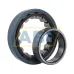 Цилиндрический роликовый подшипник однорядный BX-NU221ECP/C3VL0241 SKF
