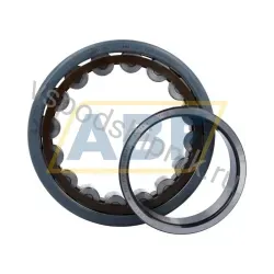 Цилиндрический роликовый подшипник однорядный BX-NU221ECP/C3VL0241 SKF