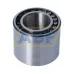 Роликовый подшипник C6006V SKF