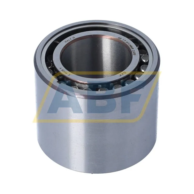 Роликовый подшипник C6006V SKF 360