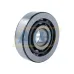 Цилиндрический роликовый подшипник NJ NJ406 SKF