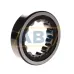 Цилиндрический роликовый подшипник RNU310ECP SKF