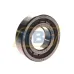 Цилиндрический роликовый подшипник NUP NUP206ECP/C3 SKF