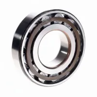 Цилиндрический роликовый подшипник N N313ECP/C3 SKF