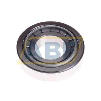 Конический роликовый подшипник однорядный 30309 Timken