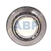 Конический роликовый подшипник однорядный T7FC055/QCL7C SKF