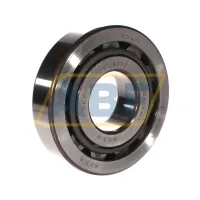Цилиндрический роликовый подшипник NJ NJ411 SKF