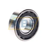 Роликовый подшипник C2206TN9 SKF