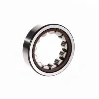 Цилиндрический роликовый подшипник RNU206ECP SKF