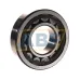 Цилиндрический роликовый подшипник NJ NJ311ECP/C4 SKF