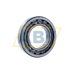 Цилиндрический роликовый подшипник однорядный RNU220W NSK