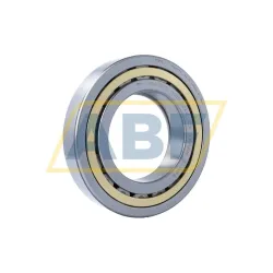 Цилиндрический роликовый подшипник однорядный NUP224EM C3 NSK