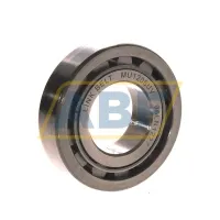 Цилиндрический роликовый подшипник однорядный MU1206UV Link-Belt