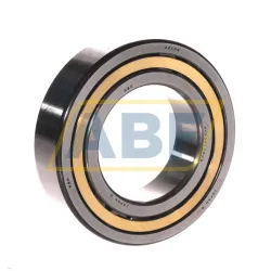 Цилиндрический роликовый подшипник однорядный NUP2210EM C3 NSK