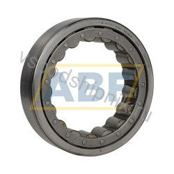 Цилиндрический роликовый подшипник однорядный W67217EAX Bower