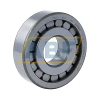Цилиндрический роликовый подшипник однорядный MUS1307-UM Bower