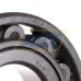 Цилиндрический роликовый подшипник однорядный N312W C3 NSK