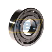 Цилиндрический роликовый подшипник однорядный RMS14V3 Hoffmann