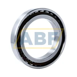 Цилиндрический роликовый подшипник однорядный N1020BTKRCC9P4 NSK