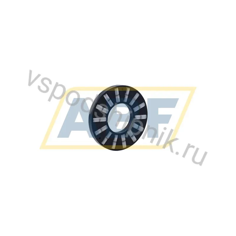 Цилиндрический роликовый подшипник с сепаратором K89409-TV/0-8 INA 360