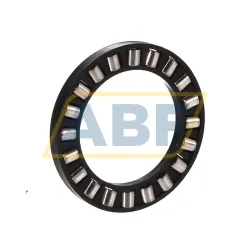 Цилиндрический роликовый подшипник с сепаратором K81107-TV-A-3 INA