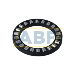 Цилиндрический роликовый подшипник с сепаратором K81109-TV-A/-2 INA