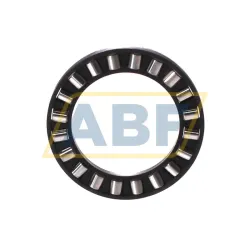 Цилиндрический роликовый подшипник с сепаратором K81107-TV-A/-3 INA