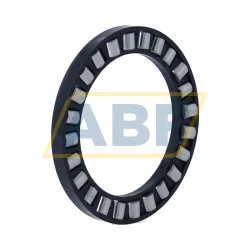 Цилиндрический роликовый подшипник с сепаратором K81110-TV-A/0-8 INA