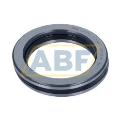 Цилиндрический роликовый упорный подшипник 81113-TV-P5 INA