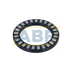 Цилиндрический роликовый подшипник с сепаратором K81216-TV/D-5 INA