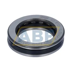 Цилиндрический роликовый упорный подшипник 81106-TV INA