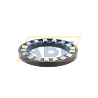 Цилиндрический роликовый подшипник с сепаратором K81106TN SKF